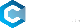 logo winsms SMS TUNISIE 266 blanc